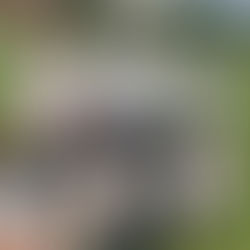 Starting out or looking for something new? Brentham Juniors is the place for you