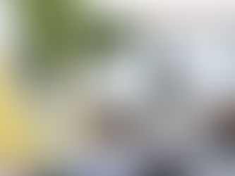 𝗙𝗲𝗶𝗿𝗮 𝗱𝗼 𝗟𝗶𝘃𝗿𝗼 𝗱𝗲 𝗟𝗮𝗴𝗼𝘀 𝟮𝟬𝟮𝟱