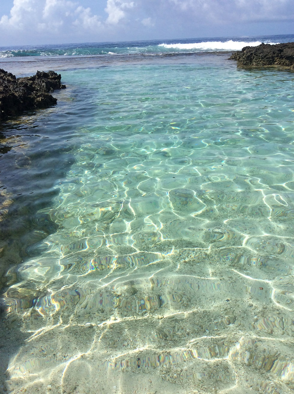 Our rock pool