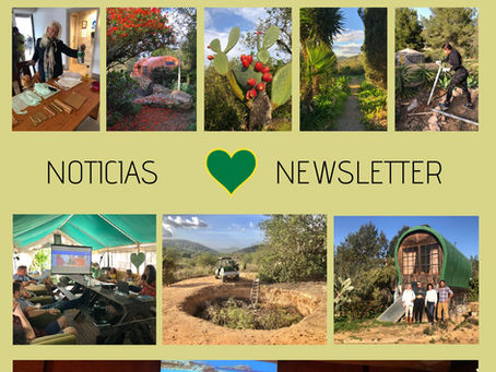 Noticias Corazón Verde - Invierno 2024
