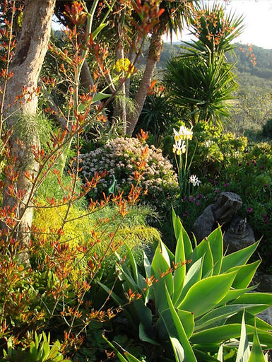 031Jardines 005.jpg