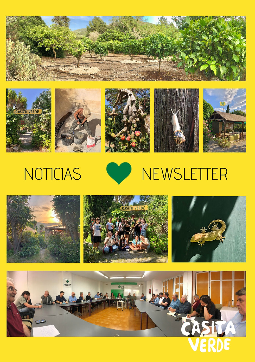 Greenheart News - Summer 2026