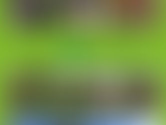 Noticias Corazón Verde -Primavera 2022