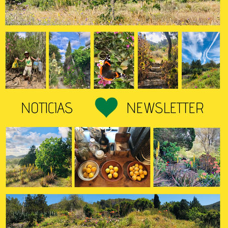 Noticias Corazón Verde - Verano 2025