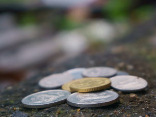 La responsabilità sociale d’impresa e il rischio del greenwashing