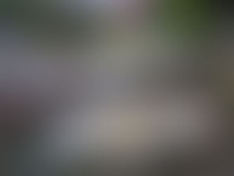 La responsabilità sociale d’impresa e il rischio del greenwashing