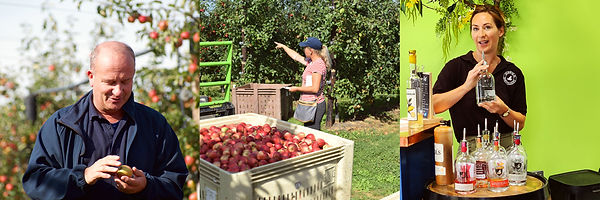 Apple-Harvest-Tour-1.jpg