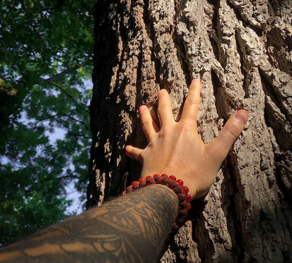 grounding