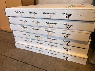 Choosing Dog-Safe Flooring — & Why We Can’t Recommend ‘Floors for Paws’ Highly Enough