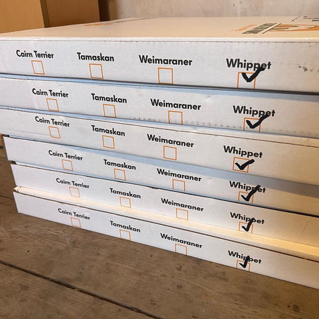 Choosing Dog-Safe Flooring — & Why We Can’t Recommend ‘Floors for Paws’ Highly Enough