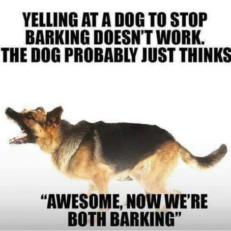 Fixing the Reactive Dog