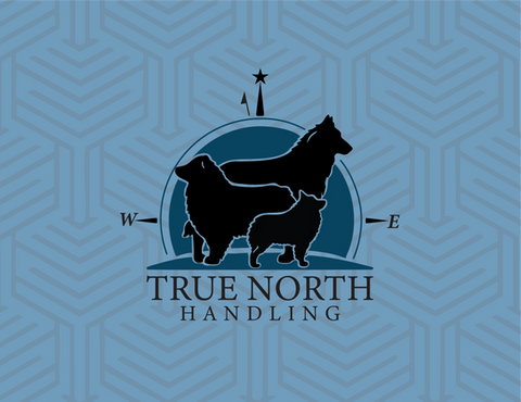 True North Handling
