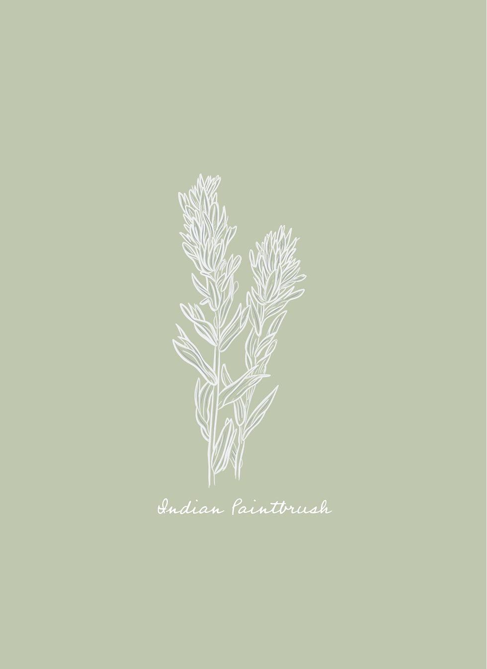 Thumbnail: Wildflower Greeting Cards