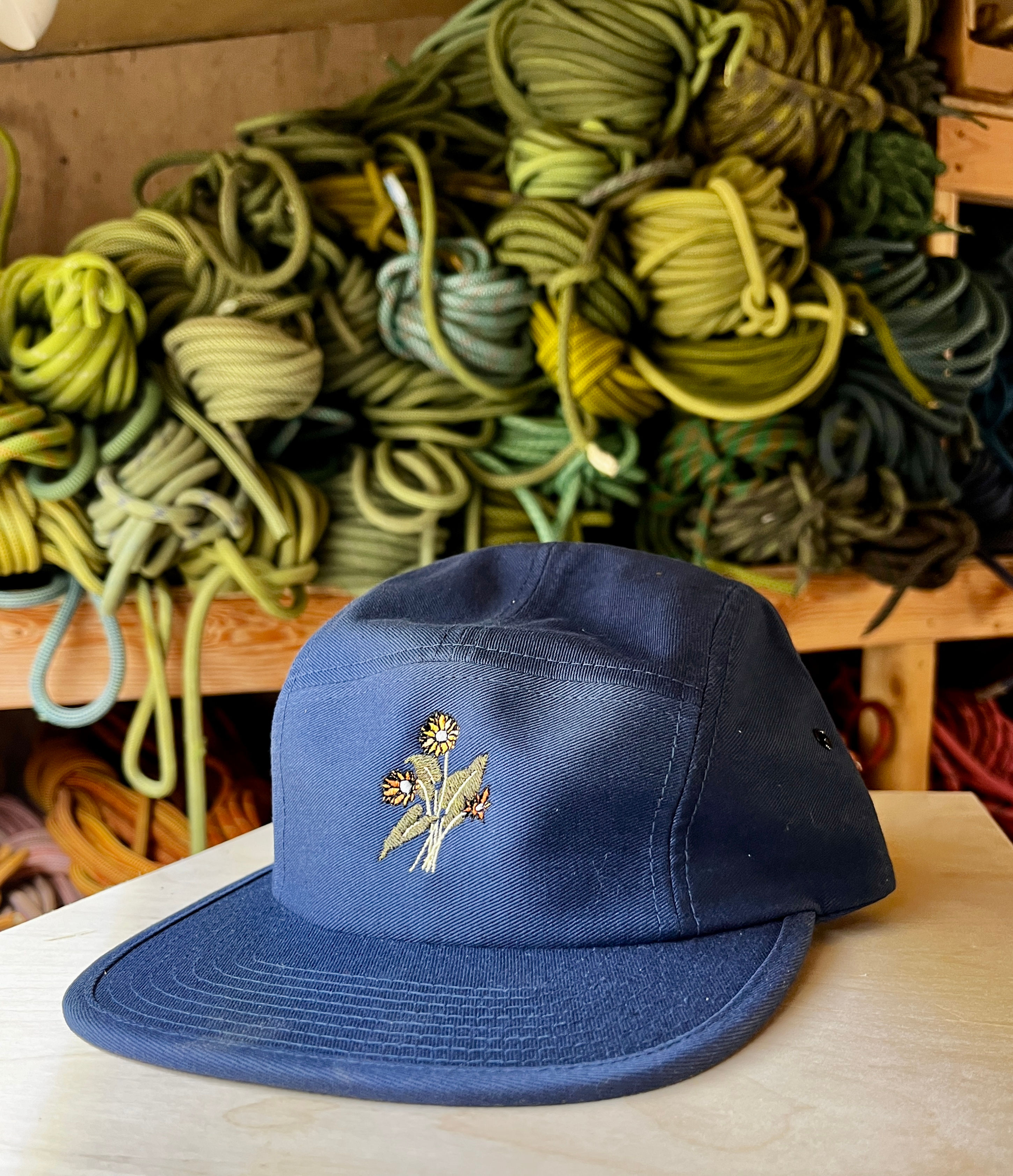 Balsam Root 5 Panel