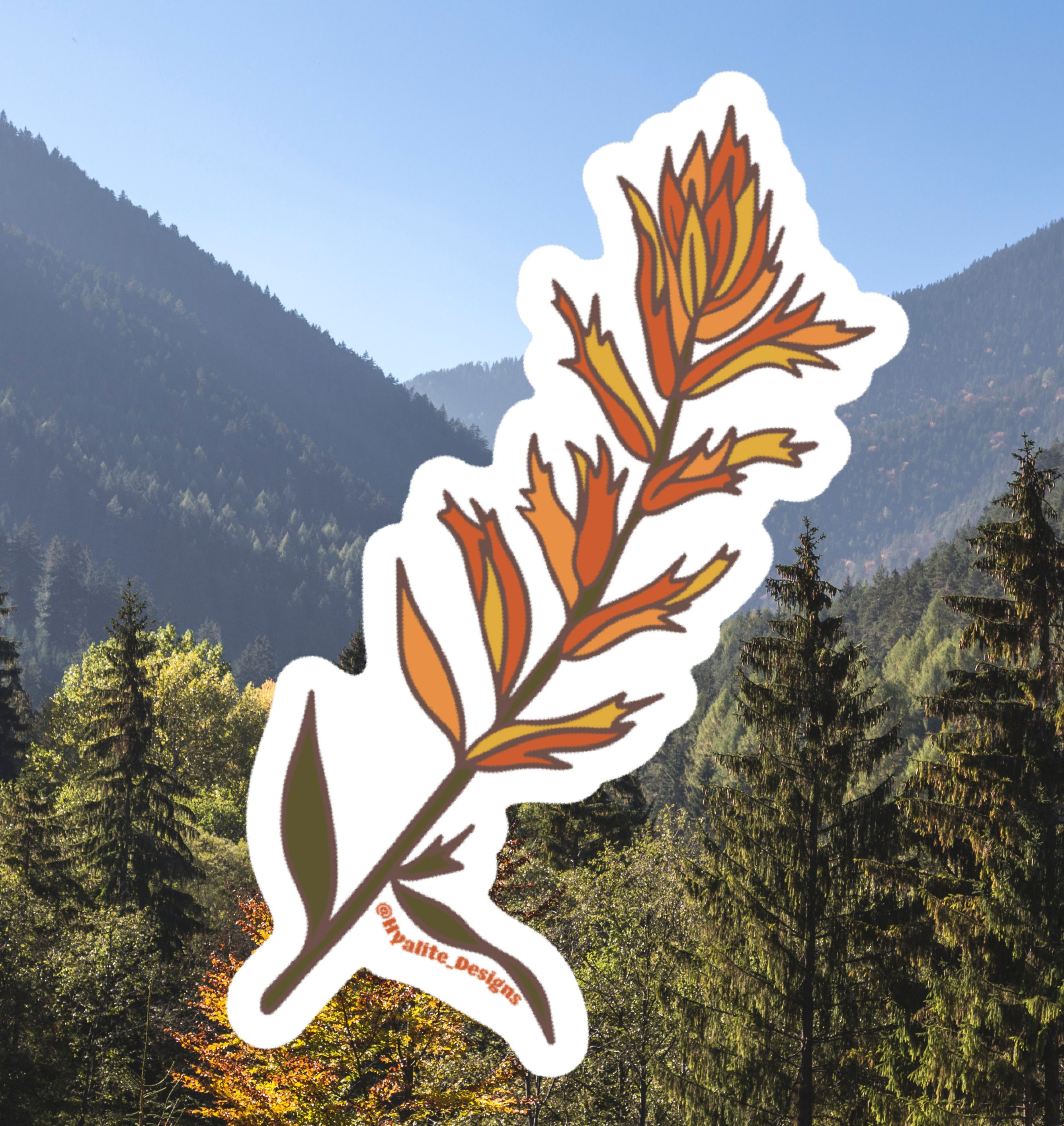 Indian Paintbrush Die-cut