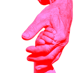 0e9fa95ba50764352e78be809a380b05 (1)_edi
