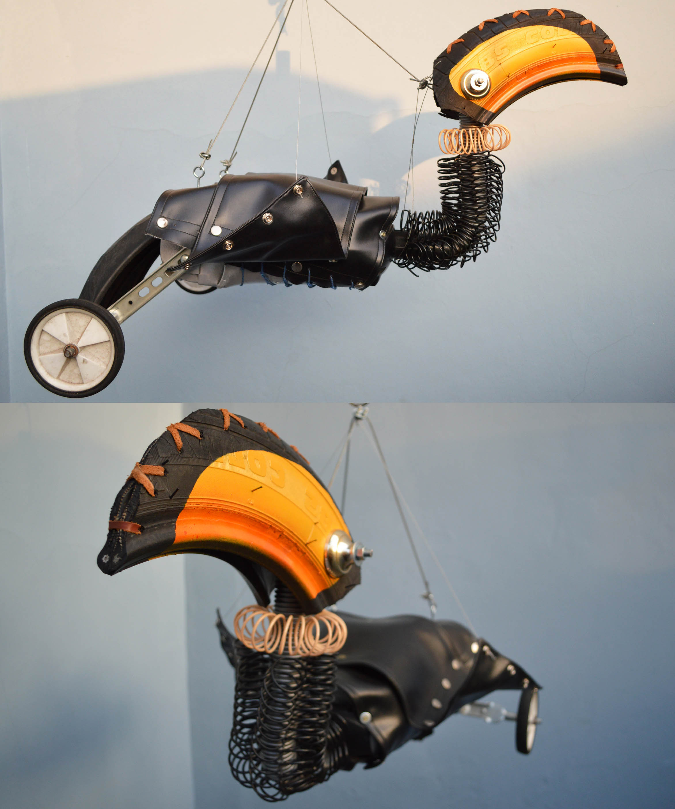 tucano