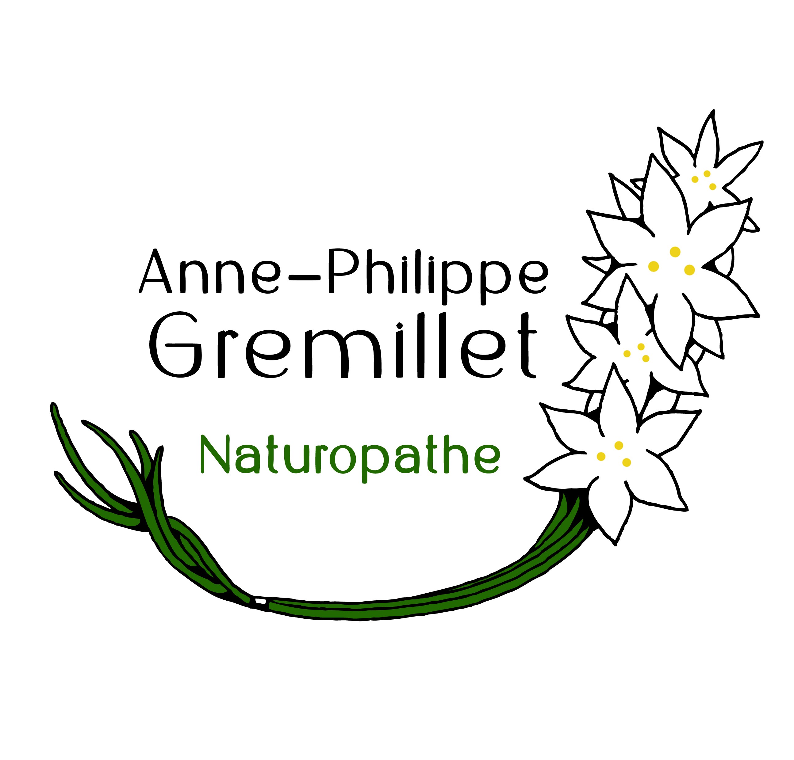 Anne-Philippe Gremillet