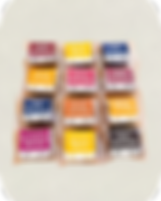 Untitled design - 2025-07-31T145945_edited.png