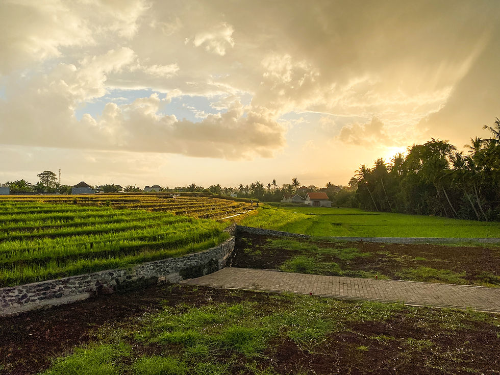 Tabanan Bali