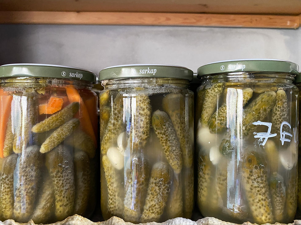 Lakto fermente turşularım.