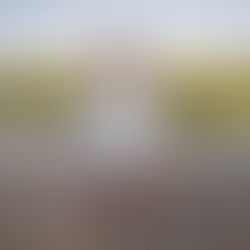 Fitness Goal Setting and Body Positivity