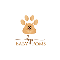 BABY POMS - LOGO.png