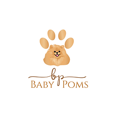 BABY POMS - LOGO.png