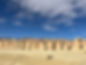 IMG_6141.jpeg