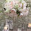 Thumbnail: Hire of silk flower balls table centre pieces 