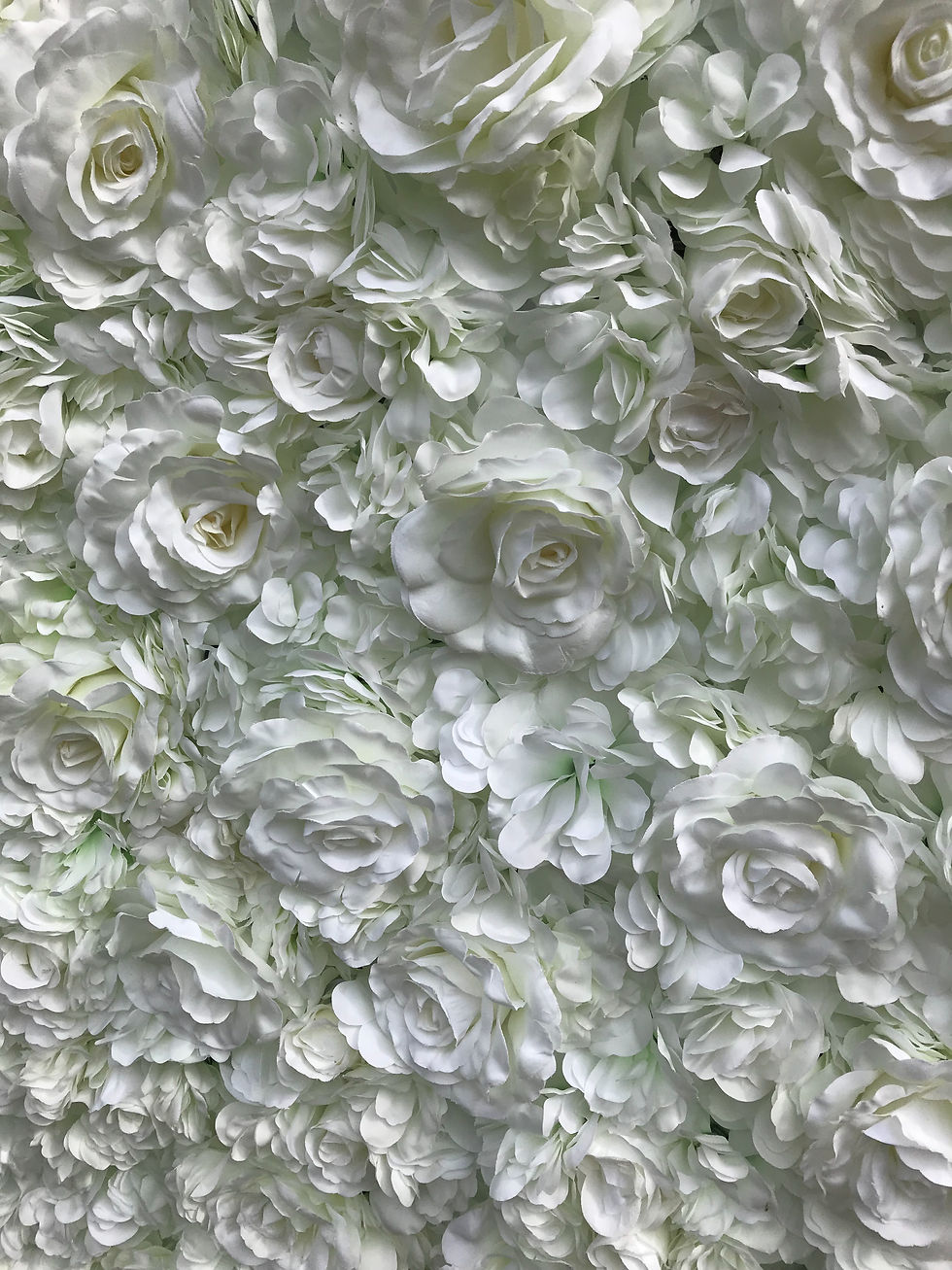 Thumbnail: White 'Maisy' Flower Wall for hire