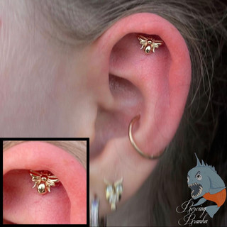 Piercing, piercings, pierced, ear, septum, navel, hoop, conch, earlobe, nostril, double piercing, eyebrow, flat, lip, tongue, piercing jewelry, titanium, fresh piercing, piercing Inso, piercing inspiration, piercing idea, new piercing, double piercing, cartilage piercing, piercer, female piercer, dermal piercing, quality jewelry, body modifications, body mods, body piercing, belly piercing, nose piercing, ear piercing, lobe piercing, face piercing, Oviedo piercing, piercing Oviedo, Florida piercing, Florida piercer, gold jewelry, silver jewelry, tattoos, Florida tattoos, tattoos and piercings, tragus piercing, rook piercing, daith piercing, conch piercing, helix piercing, forward helix