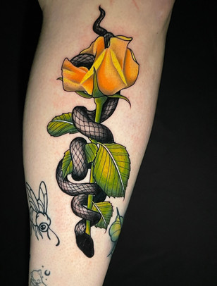tattoos, tattoo, orlando tattoo, oviedo tattoo, orlando tattoos, oviedo tattoos, ink, tattoo shop, tattoo studio, YTL Studios, YTL, YTL studio INK, tattoo idea, tattoo ideas, tattoo Inspo, tattoo artist, tattoo inspiration, Tattoo Pinterest, tattoo lovers, Neo traditional, neotraditional, Neo traditional tattoo, Neo tattoo, Neo tatt, traditional tattoo, traditional, shin tattoo, snake, snake tattoo, rose, rose tattoo, yellow rose, snake and rose, snake and rose tattoo, black snake, black work, colorful, color, colours, color tattoos, shin tattoo ideas. rose and stem, rose and stem tattoo, Neo,