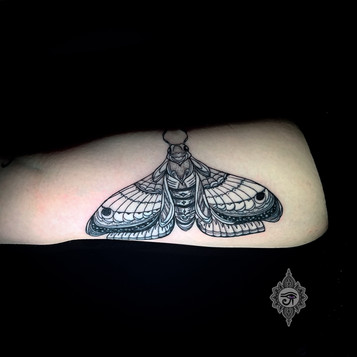 tattoos, tattoo, orlando tattoo, oviedo tattoo, orlando tattoos, oviedo tattoos, ink, tattoo shop, tattoo studio, YTL Studios, YTL, YTL studio INK, tattoo idea, tattoo ideas, tattoo Inspo, tattoo artist, tattoo inspiration, Tattoo Pinterest, tattoo lovers, black and grey, black and grey tattoo, black and grey tattoos, moth, black work, black work tattoo, bicep tattoo, bicep tatt, inner bicep, moth tattoo ideas, moth tattoo design, dark tattoo, moth