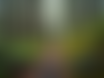 Build Your Cycling Training for Endurance: A Friendly Guide to Going the Distance