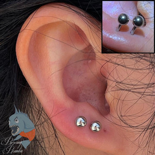 Piercing, piercings, pierced, ear, septum, navel, hoop, conch, earlobe, nostril, double piercing, eyebrow, flat, lip, tongue, piercing jewelry, titanium, fresh piercing, piercing Inso, piercing inspiration, piercing idea, new piercing, double piercing, cartilage piercing, piercer, female piercer, dermal piercing, quality jewelry, body modifications, body mods, body piercing, belly piercing, nose piercing, ear piercing, lobe piercing, face piercing, Oviedo piercing, piercing Oviedo, Florida piercing, Florida piercer, gold jewelry, silver jewelry, tattoos, Florida tattoos, tattoos and piercings, tragus piercing, rook piercing, daith piercing, conch piercing, helix piercing, forward helix