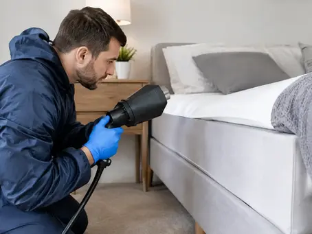 Does Bed Bug Heat Treatment in Kent Work?