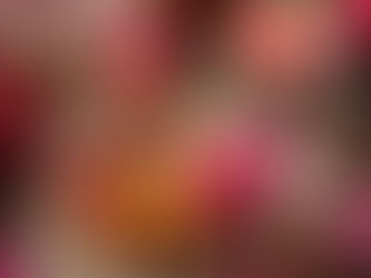 Liebeszauber mit Rosenquarz – Magie für dein Herz 💕🌹