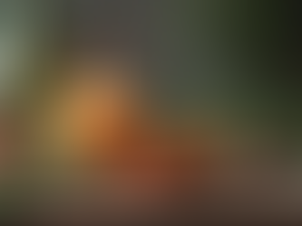 Liebe Zauberset kaufen: Die besten Angebote für dein magisches Herz