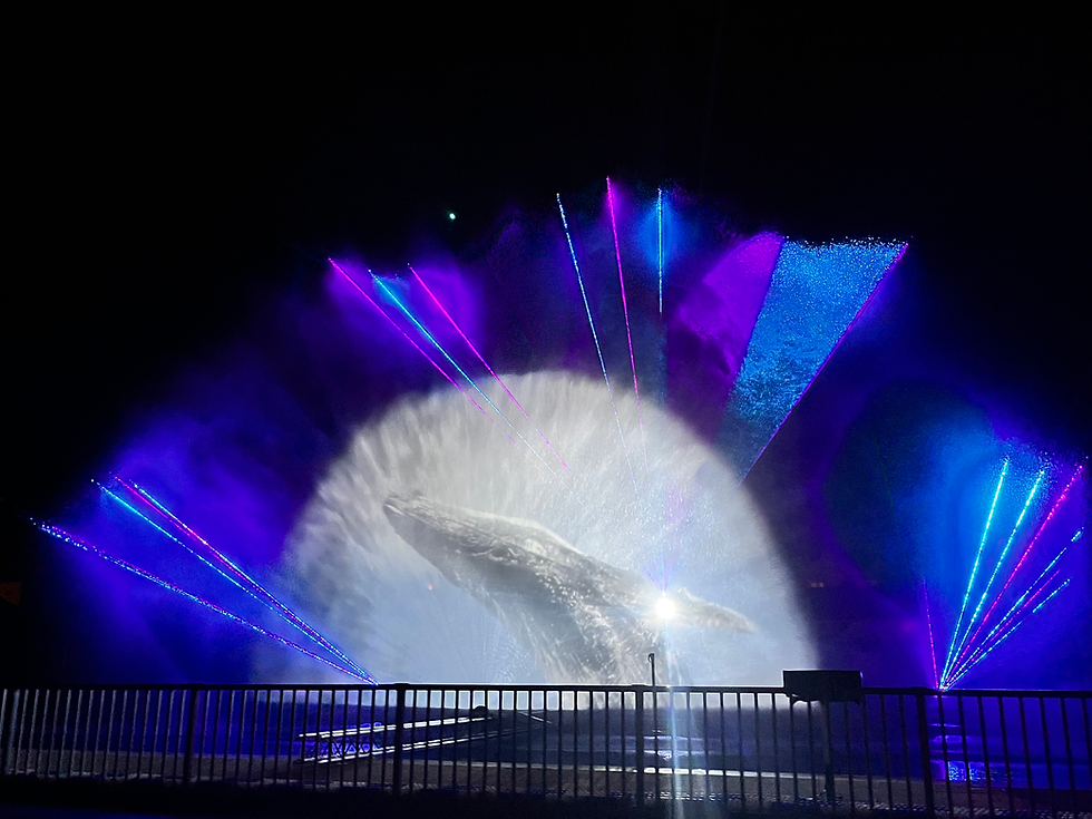 Thumbnail: Water Screen Projector Screen