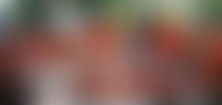 OBAMA AND ACORN (ASSOCIATIONS OF COMMUNITY ORGANIZATONS FOR REFORM NOW. CROOKED AS A SNAKES BACK