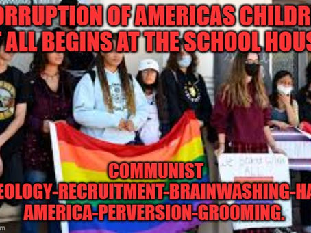 FOX NEWS HAS AWAKEN THE NATIONAL EDCUATION ASSOCIATION TEACHER UNION IS A THREAT TO OUR CHILDREN AND OUR NATIONS SECURITY