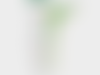 Saiba quais estados investem mais em energia solar