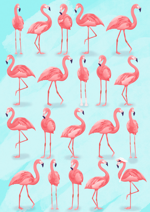 Flamingo