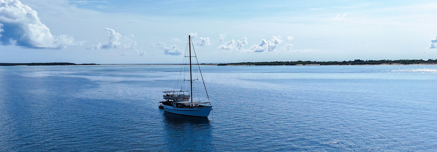 DJI_20251102082930_0013_D (2).jpg