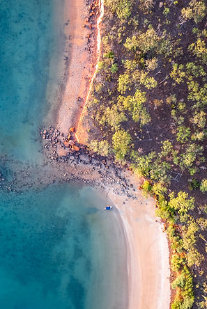 Copy of DJI_20241012161606_0168_D (1) (1).jpg