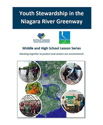 BNWLesson Series.jpg