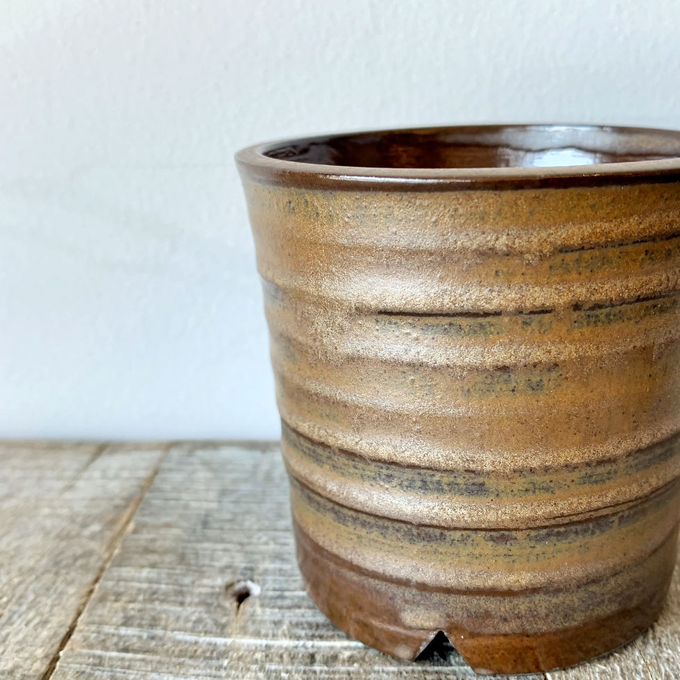 サムネイル： Daidara Pot S「金茶」