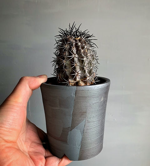 コピアポア デュラ （銅鑼丸）＃03 IZUNAポット「雷」M | BIZARRE GREEN