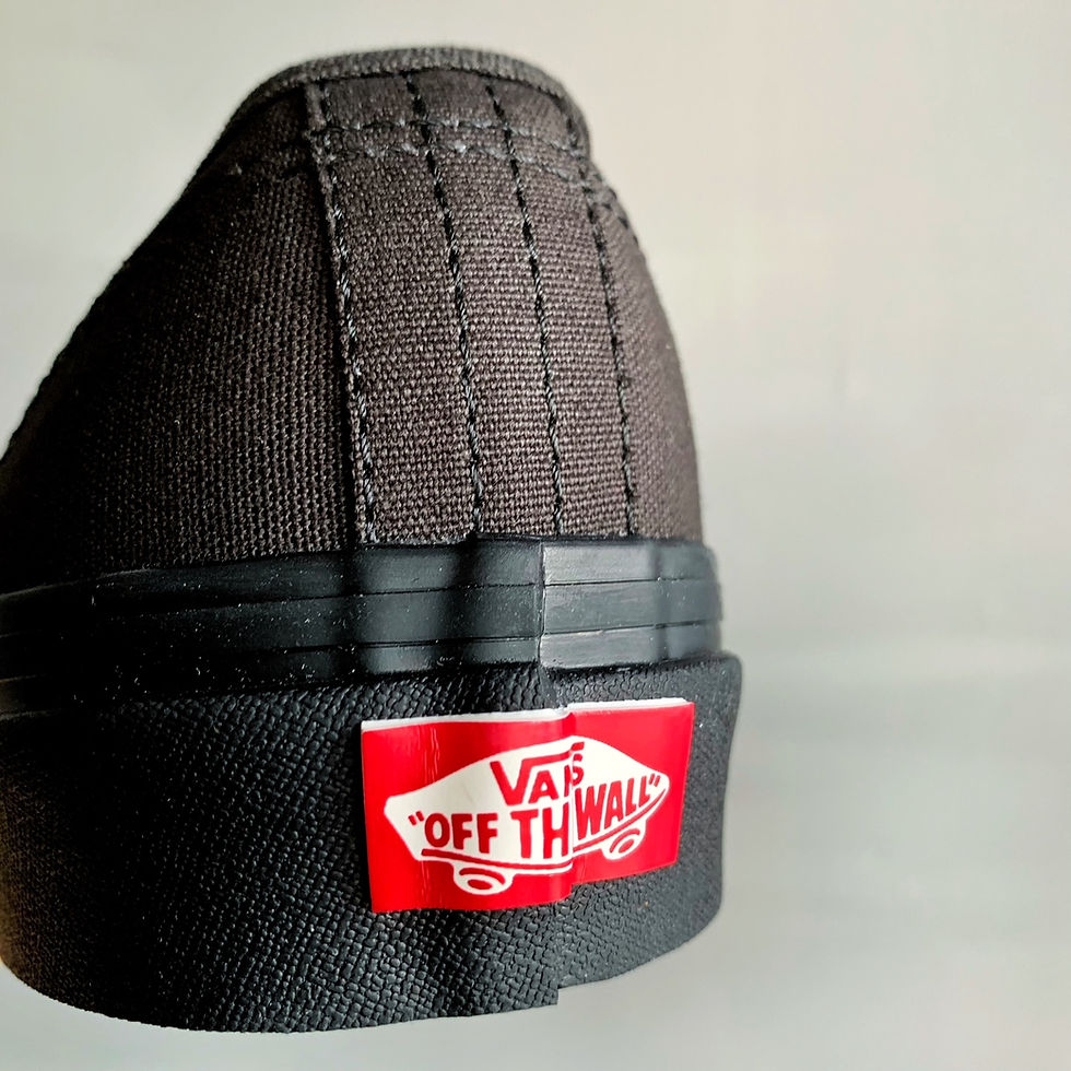 サムネイル： VANS Authentic 44 DⅩ VN0A38ENSTZ